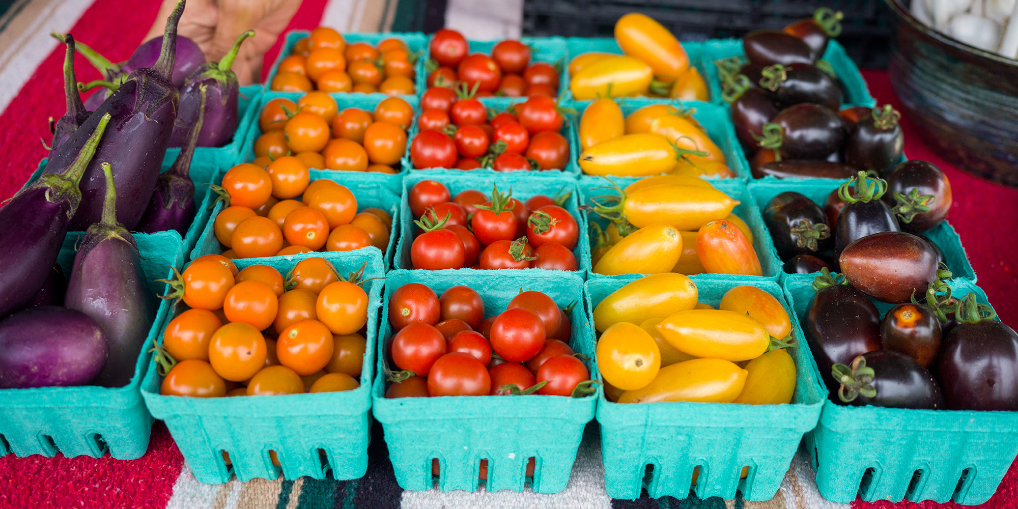 tomatoes and eggplants in blue boxes on a table